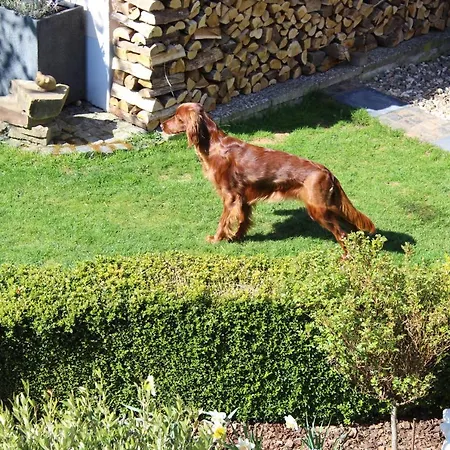 Διαμέρισμα Am Waldrand