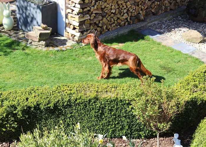 Apartmán Am Waldrand